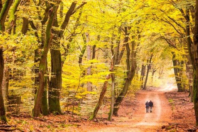 B&B De Sfeerhoeve Beilen ภายนอก รูปภาพ